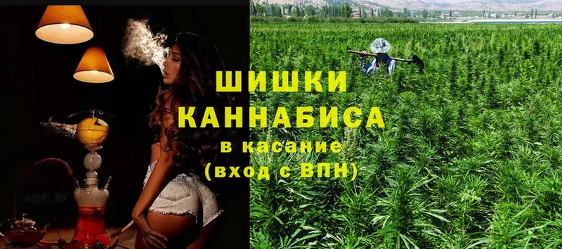 OMG tor  Железногорск-Илимский  Бошки Шишки OG Kush 